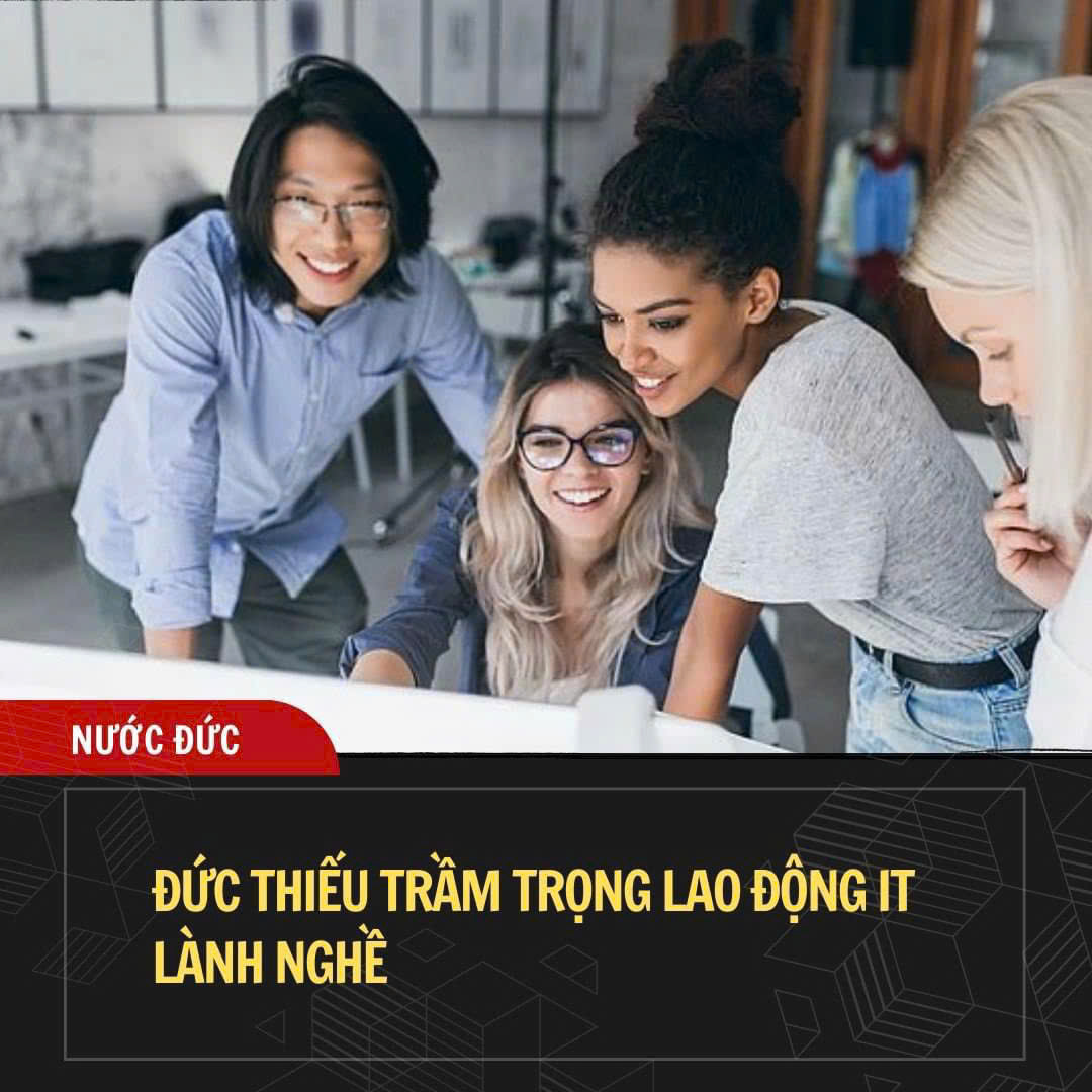 Việc làm Nhà Thành Phố 24h (2)