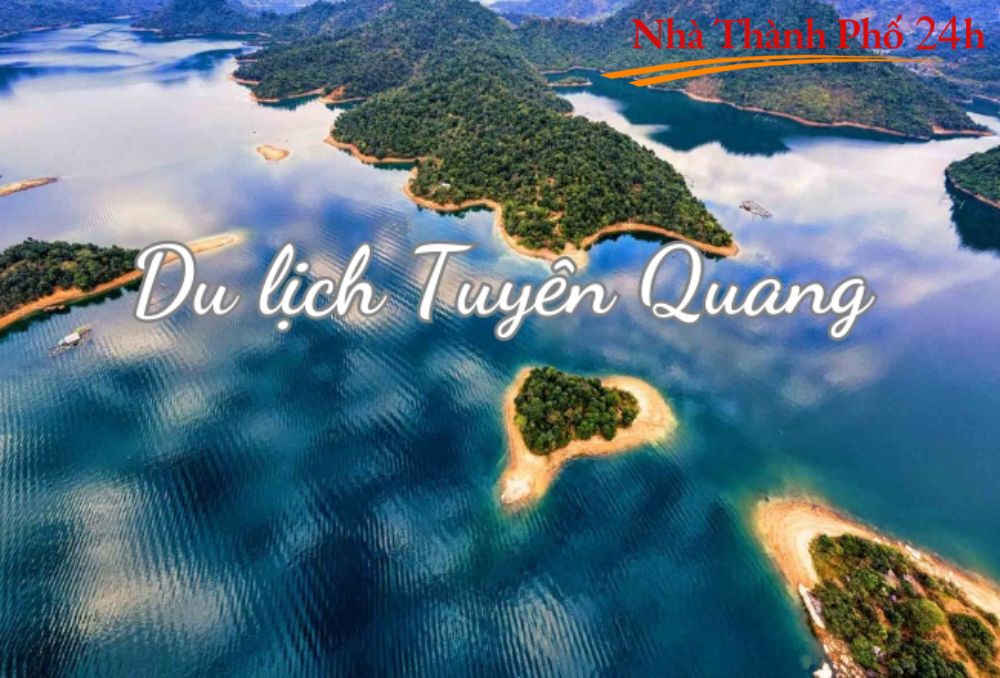 Tuyển dụng đại lý Tuyên Quang (3)